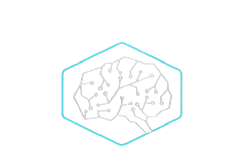 IGNITE INSIGHTS Logo